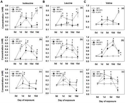 Heat hardening enhances metabolite-driven thermoprotection in the Mediterranean mussel Mytilus galloprovincialis